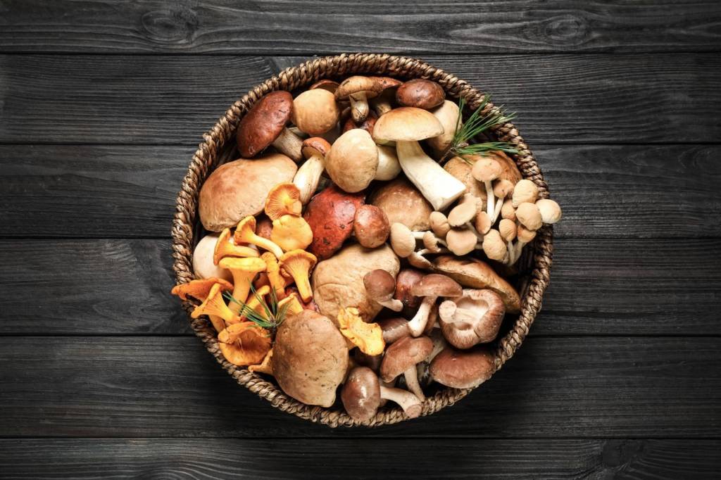Factors that Make Mushrooms Good for Diabetes- HealthifyMe