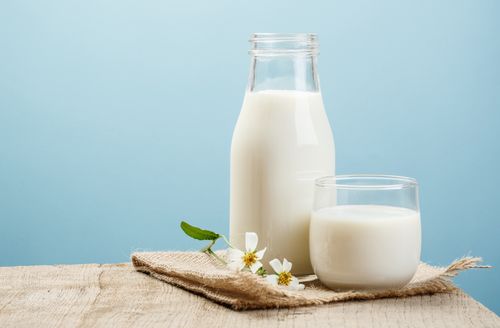 Drinking milk before a workout can reduce one's stamina levels